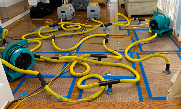Professional Water Damage Repair technician working in Wadsworth, IL